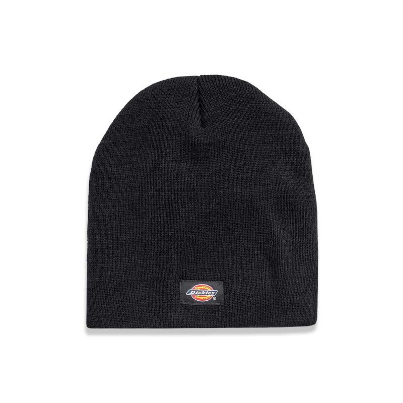 Dickies Knit Insulated Beanie WH202 BK 01