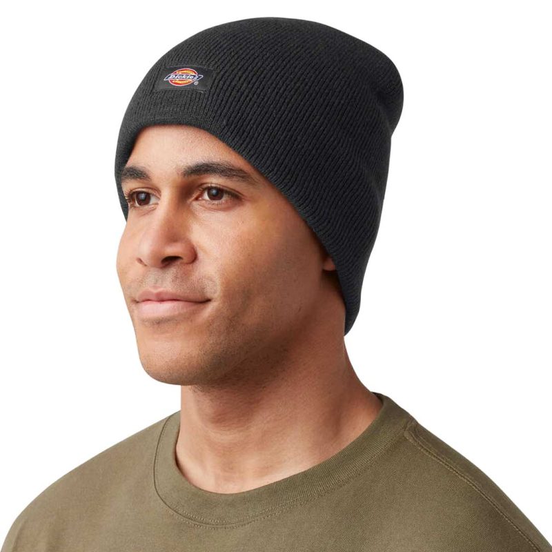 Dickies Knit Insulated Beanie WH202 BK 02