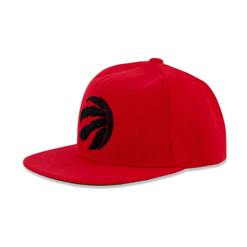 NBA Toronto Raptors Flatbrim Snapback HK2BOFGTU RAP 2