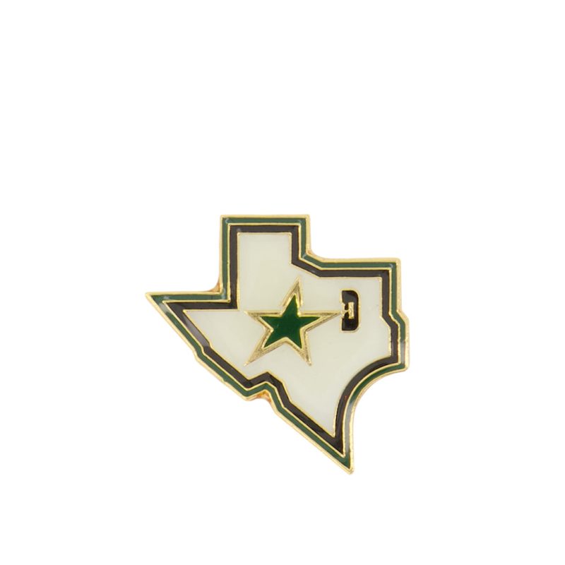 NHL DallasStarsShoulderPatchPin STASHP 01