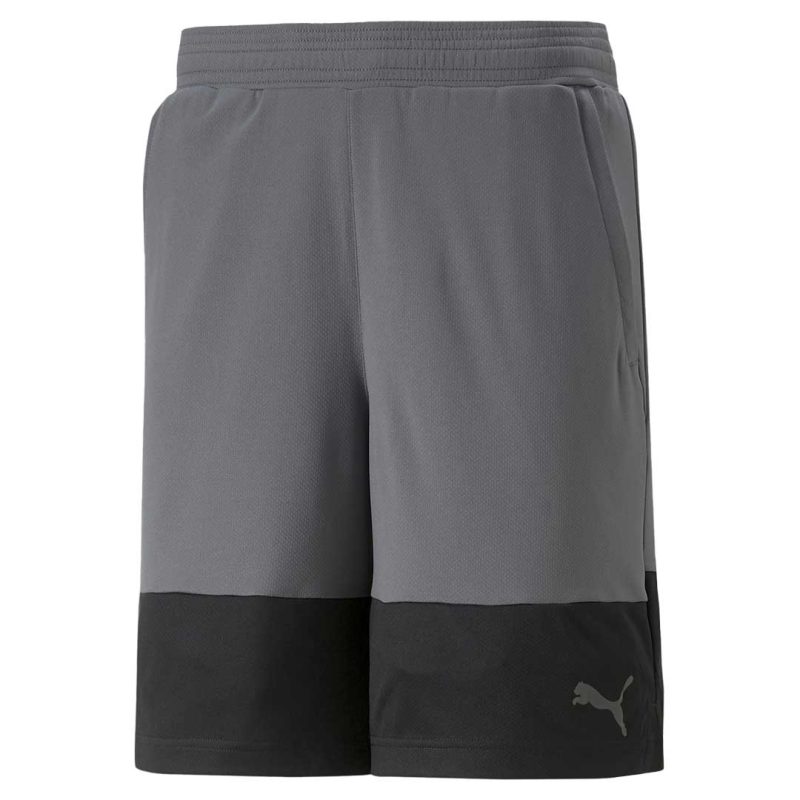 Puma Men s Train All Day 8 Inch Short 522341 44 1