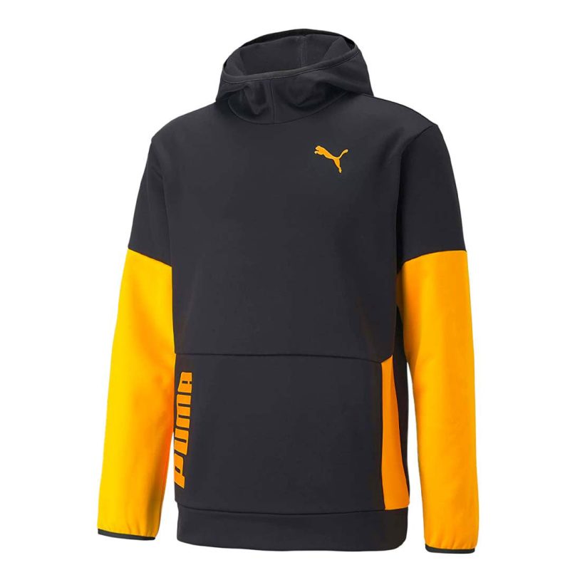 Puma Men s Train All Day Hoodie 522340 51 01