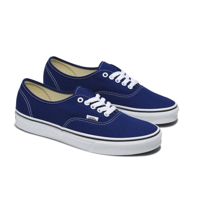 Vans Unisex Authentic Color Theory Shoes 09PVBYM 02