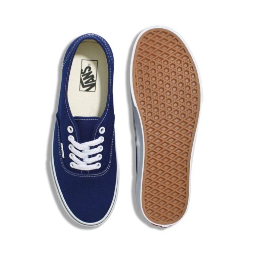 Vans Unisex Authentic Color Theory Shoes 09PVBYM 04