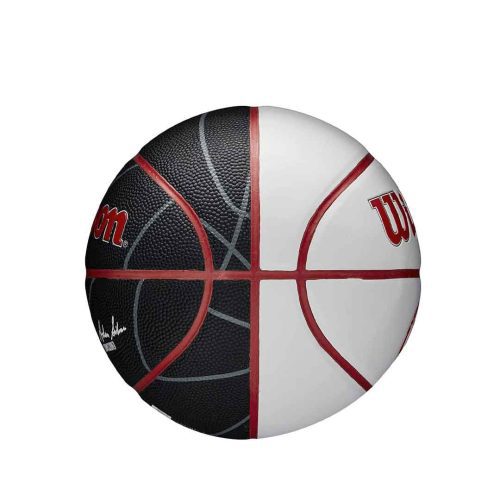 Wilson Toronto Raptors Autograph Mini Ball WTB3300XBTOR 01