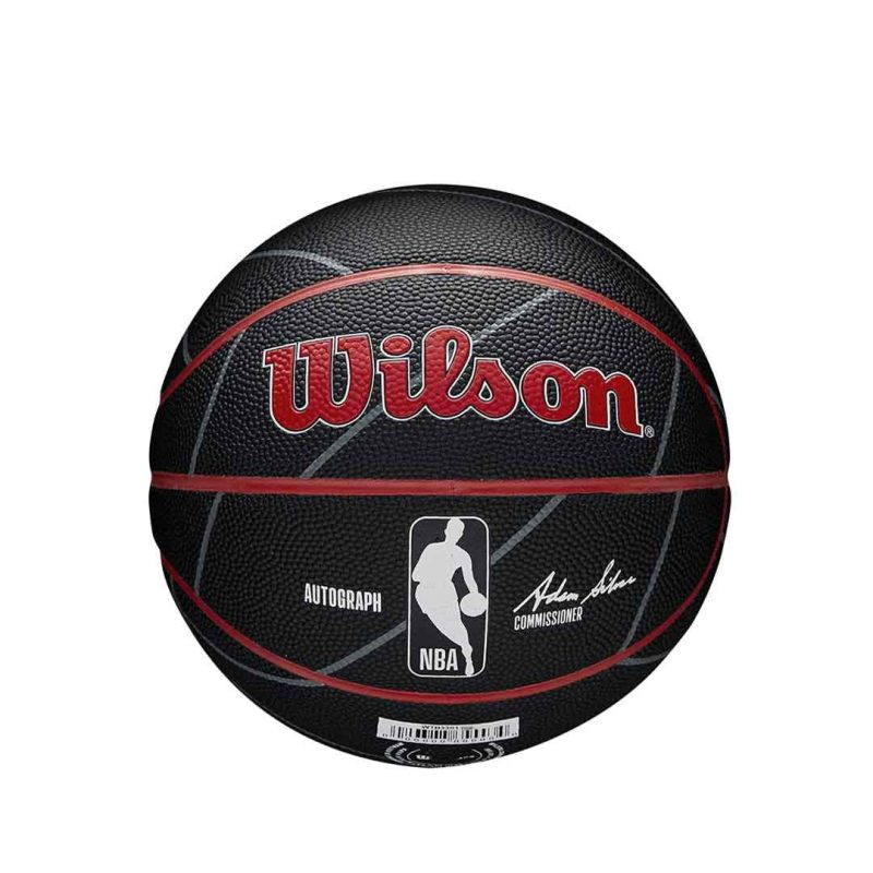 Wilson Toronto Raptors Autograph Mini Ball WTB3300XBTOR 02