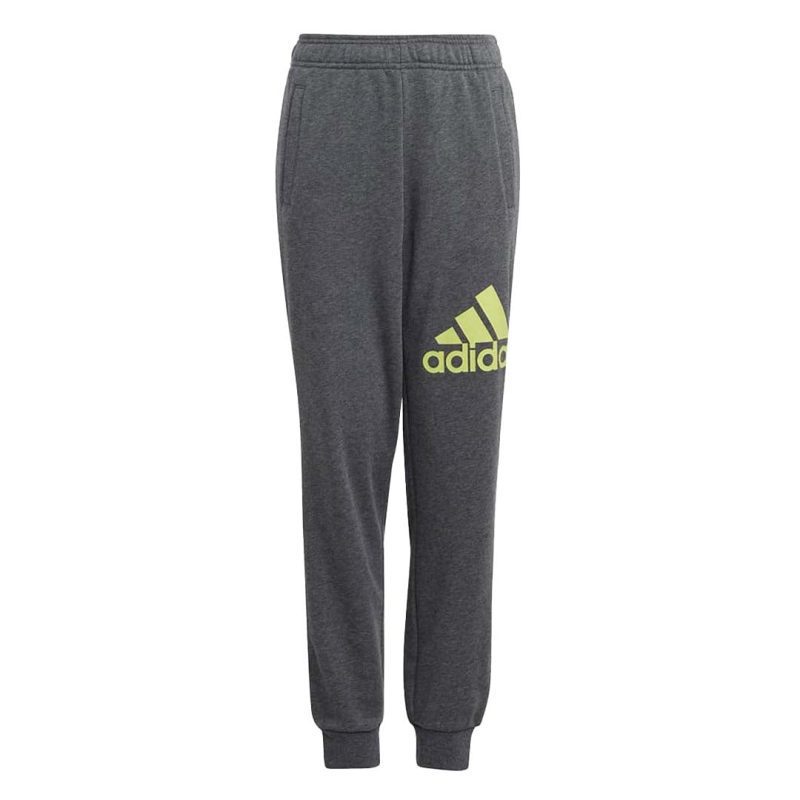 adidas Kids Junior Essentials Big Logo Pants IJ7069 01