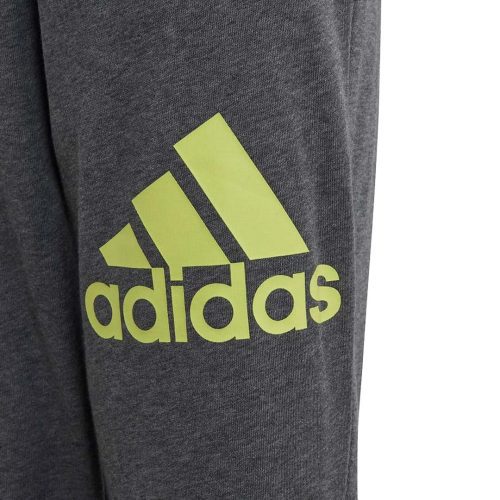 adidas Kids Junior Essentials Big Logo Pants IJ7069 04