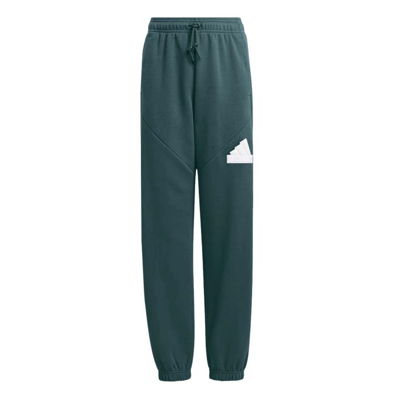 adidas Kids Junior Future Icons Logo Pant IM0080 1