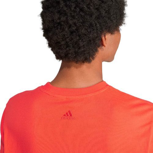 adidas Men s All SZN Graphic T Shirt IJ9436